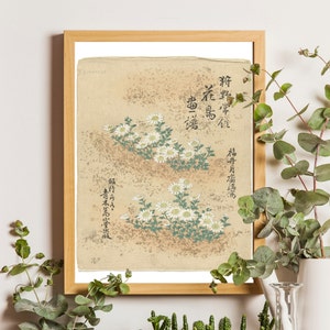 Japanese Flowers Botanical Art, PRINTED & SHIPPED, Vintage Art, Botanical Art, Asian Art, Japanese Art, Flower Art, Vintage Japanese Print