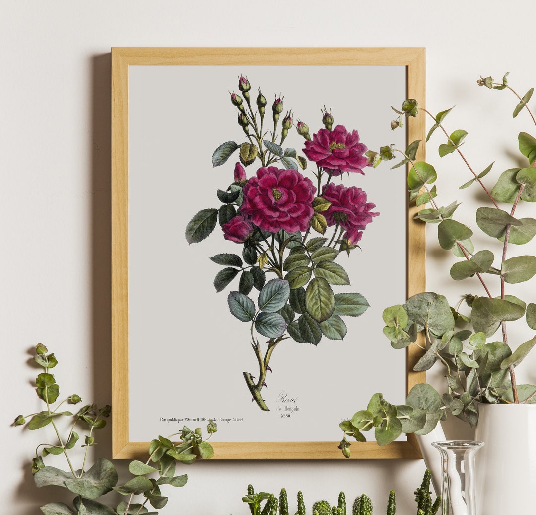Vintage Roses Wall Art Prints, Botanical Poster, Botanical Decor