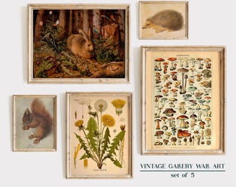 Vintage Gallery Wall Set of 5, Vintage Country Art Print Set, Rustic Wall Decor, Millot, Forest Animals Prints, Farmhouse Gallery Wall Art
