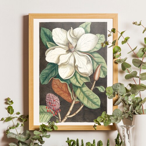 Magnolia Pictures Wall Decor Set of 12 Unframed Magnolia | Etsy