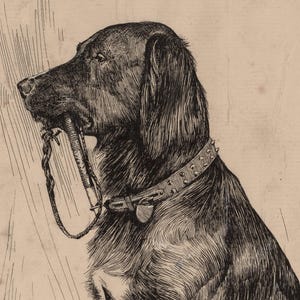 Black Labrador art print featuring a vintage dog painting in an antique animal portrait style. This farmhouse painting and detailed dog sketch makes a perfect dog lovers gift. High-quality dog print, SHIPPED ready to frame.