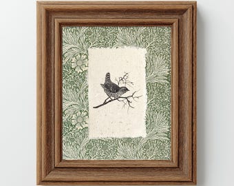 Vintage Bird Illustration Art Print – Botanical Green Floral Pattern, Cottagecore Wall Decor, Victorian Nature Ink Drawing Canvas Print