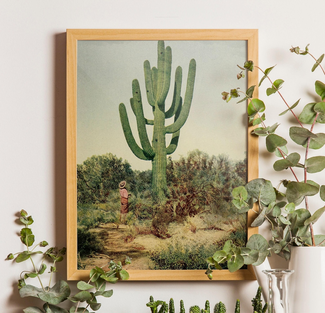 Vintage Saguaro Cactus Print: Desert Landscape Wall Art - Etsy