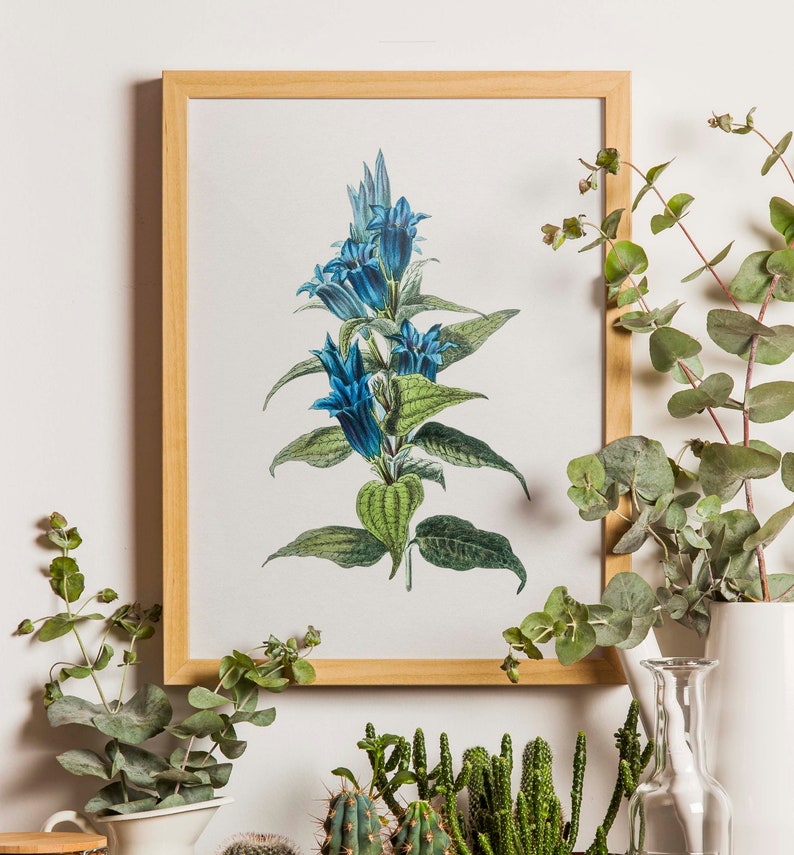 Blue Botanical Set of 6, Vintage Floral Watercolors, Blue Decor, Blue Flower Prints, Flower Wall Art, Botanical Print Set, Wildflowers Print image 5