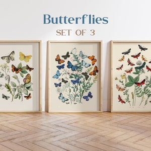 Vintage Butterfly and Botanical Print Set, Giclee, Prints, Botanical Prints, Wall Art, Prints, Vintage Butterfly Prints, Butterflies Posters