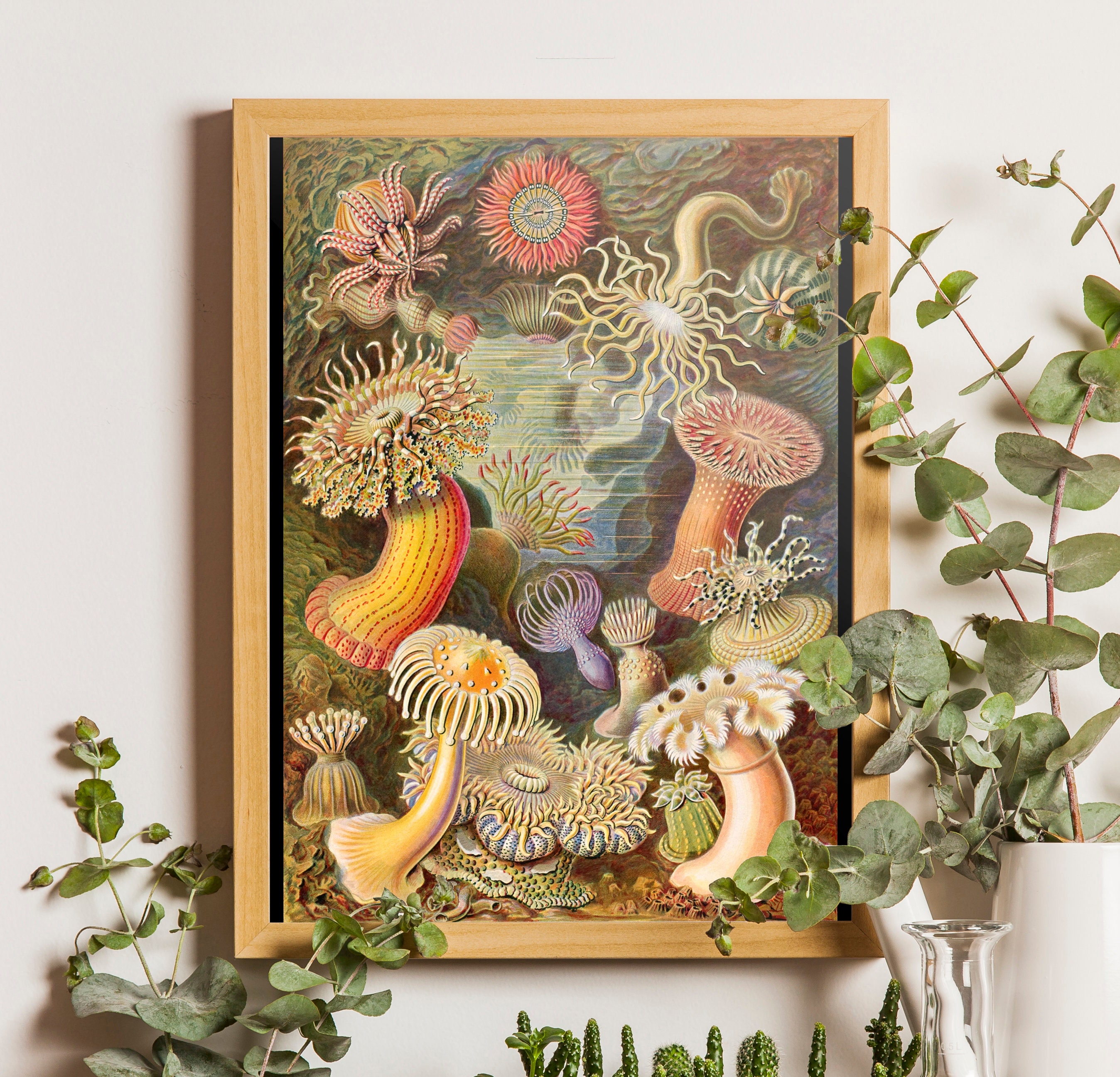 絵画 anemone Sea Anemone Art Print, Sea Anemone Poster, Ernst Haeckel