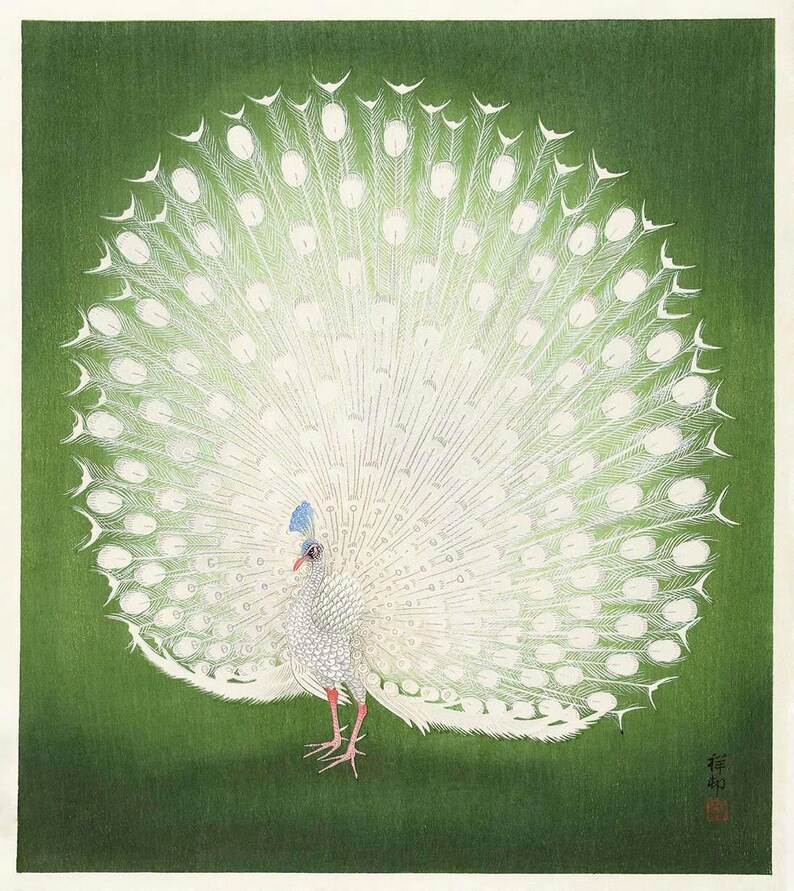 Reprint of Peacock illustration by Ohara Koson.  Different sizes available. Printing on matt paper, canvas or deckle edge fine art paper. Printed and shipped. Beautiful vintage japanese wall art.