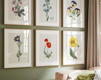 Set of 6 Vintage Botanical Wildflower Prints, Farmhouse Wall Art (Printed and Shipped)
