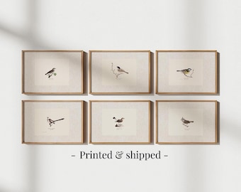Antique Bird Prints Set: Vintage Botanical Gallery Wall Art