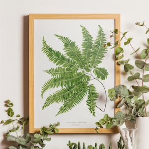 Vintage Fern Print, Botanical Art, Vintage Fern Print, Vintage Botanicals, Botanical fern print, Fern poster, Fern Green leaves print