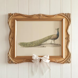 Arte vintage de acuarela de pavo real, arte vintage, arte botánico, impresión de aves, arte de pavo real, impresión de pavo real, póster de pavo real, impresión de aves vintage