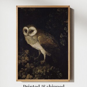 Antique Owl Painting featuring a moody, rustic bird print in a dark academia style. This vintage animal wall art showcases a detailed owl portrait, perfect for creating a scholarly, atmospheric vibe. Ideal as vintage owl print decor, owl wall art, or bird print for a study, library, or cozy reading nook. Printed wall art.