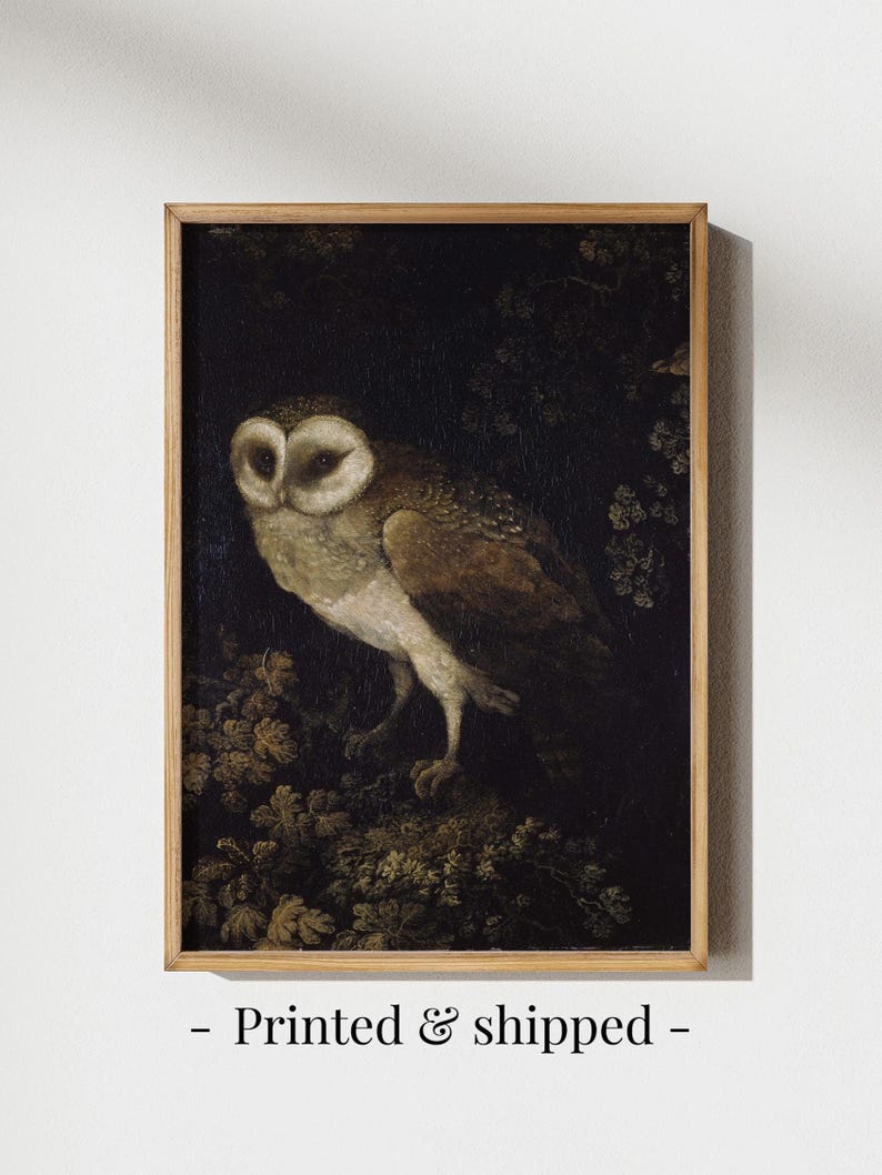 Antique Owl Painting featuring a moody, rustic bird print in a dark academia style. This vintage animal wall art showcases a detailed owl portrait, perfect for creating a scholarly, atmospheric vibe. Ideal as vintage owl print decor, owl wall art, or bird print for a study, library, or cozy reading nook. Printed wall art.