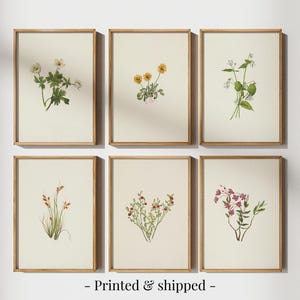 Vintage Botanical Gallery Wall Set of 6 Prints, Botanical Prints, Vintage Floral Prints, Flower Art Prints, French Country Farmhouse Prints