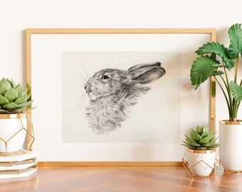 Vintage Rabbit Drawing Print, Bunny Nursery Wall Art