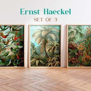 Ernst Haeckel print set, Palm tree print, Hummingbird print, Botanical Poster, Vintage Ernst Haeckel poster, Tropical wall art, Jungle art