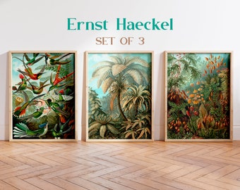 Ernst Haeckel print set, Palm tree print, Hummingbird print, Botanical Poster, Vintage Ernst Haeckel poster, Tropical wall art, Jungle art