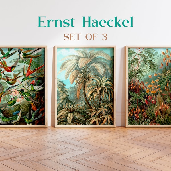 Ensemble d'impressions Ernst Haeckel, impression palmier, impression colibri, affiche botanique, affiche vintage d'Ernst Haeckel, art mural tropical, art de la jungle