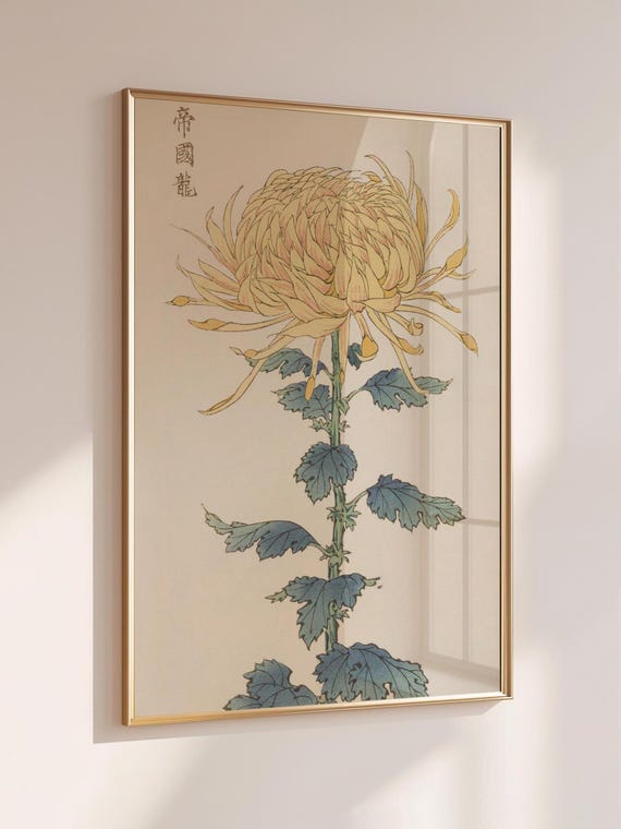 Vintage Japanese Chrysanthemum Flower Print: Japandi Botanical