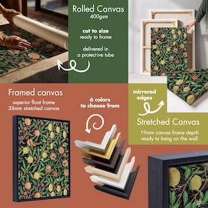 The image is a collage of various images related to framed and stretched canvas art. It includes images of a rolled canvas, a framed canvas, a stretched canvas, and different frame options for both sizes and colors. The collage provides a visual guide for choosing the appropriate frame for a canvas artwork.