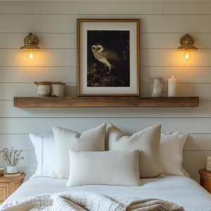 Antique painting of an owl by Moses Haughton featuring detailed feathers and a natural history illustration style.