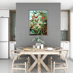 Ernst Haeckel Hummingbird Print: Vintage Tropical Wall Art image 3