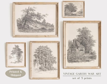 Vintage Tree Sketch Prints: Neutral Farmhouse Wall Art Set of 5
