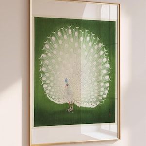 Reprint of Peacock illustration by Ohara Koson.  Different sizes available. Printing on matt paper, canvas or deckle edge fine art paper. Printed and shipped. Beautiful vintage japanese wall art.