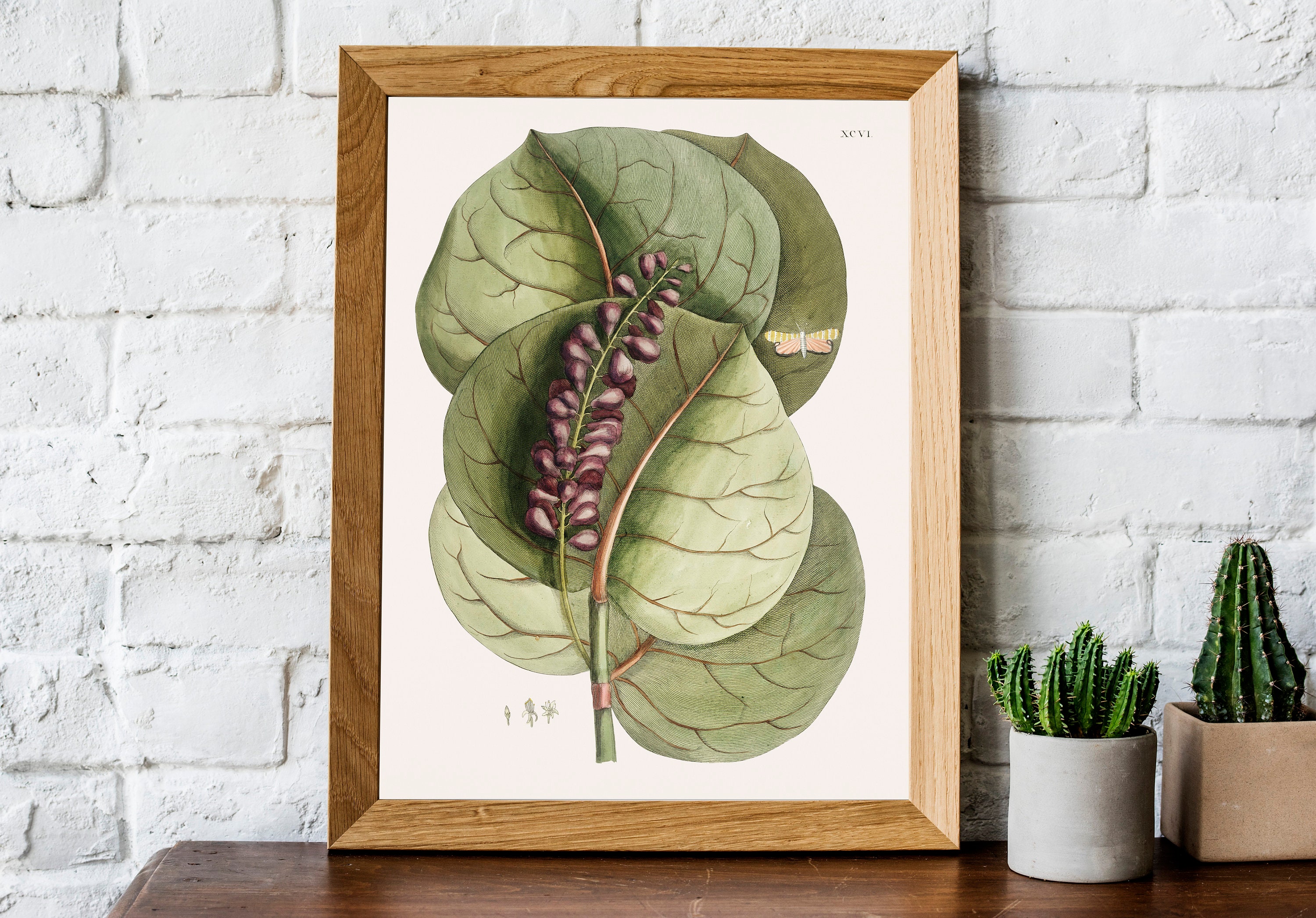Vintage Botanical Wall Art Botanical Print Plant Decor - Etsy UK