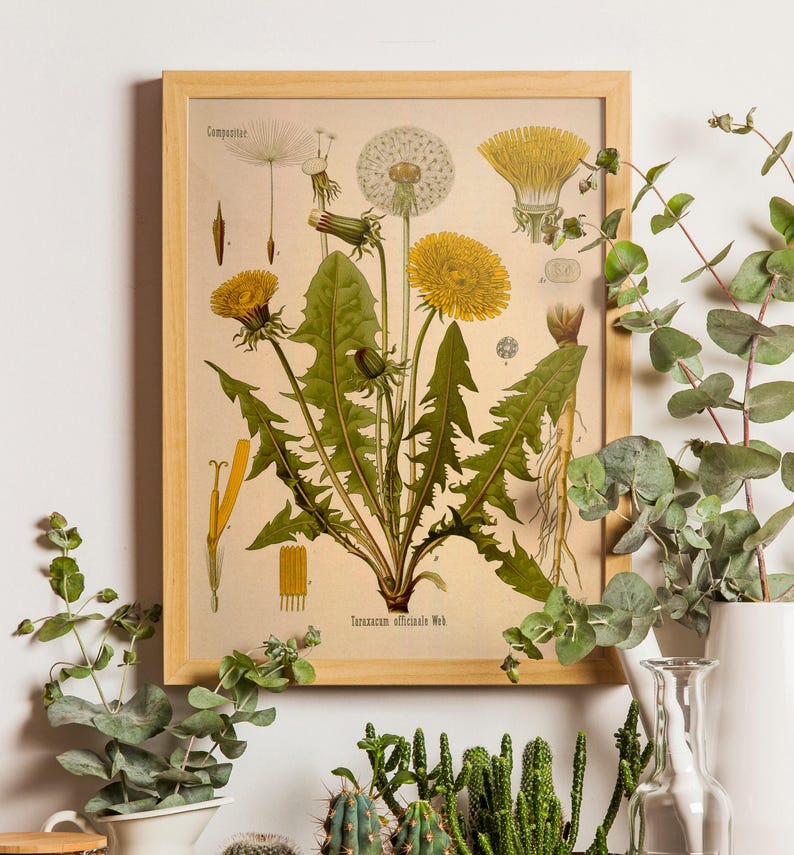 Botanical Poster Set of 6 Flowers, Gallery Wall Set, Botanical Prints ...