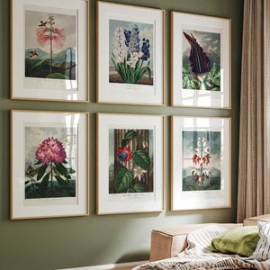 Set di 6 stampe botaniche, arte murale floreale, arte murale massimalista, stampe botaniche antiche, stampe botaniche, decorazioni per cottage, decorazioni per fattoria
