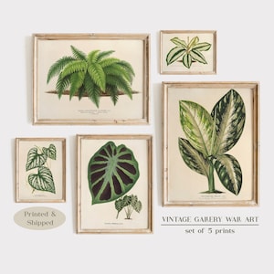 Vintage Botanical Gallery Wall Print SET of 5, Green Leaves Print, Rustic Wall Decor, House Plants Wall Art, Plant Decor, Plant Lover Gift