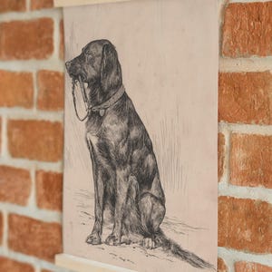 Black Labrador art print featuring a vintage dog painting in an antique animal portrait style. This farmhouse painting and detailed dog sketch makes a perfect dog lovers gift. High-quality dog print, SHIPPED ready to frame.