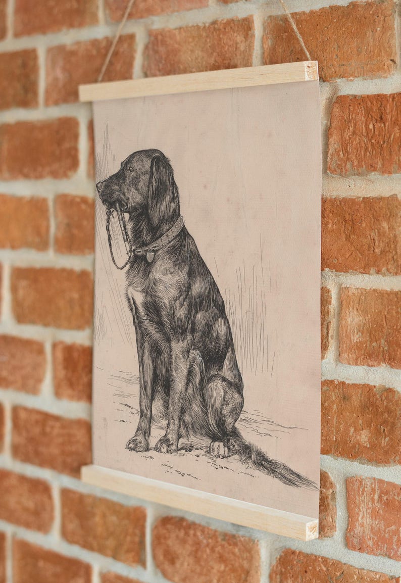 Black Labrador art print featuring a vintage dog painting in an antique animal portrait style. This farmhouse painting and detailed dog sketch makes a perfect dog lovers gift. High-quality dog print, SHIPPED ready to frame.