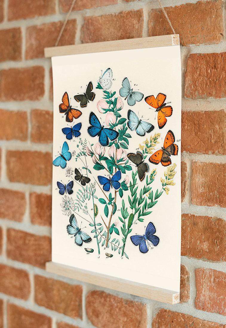 Vintage Butterfly Botanical Print Set, William Forsell Kirby, Set of 3 ...