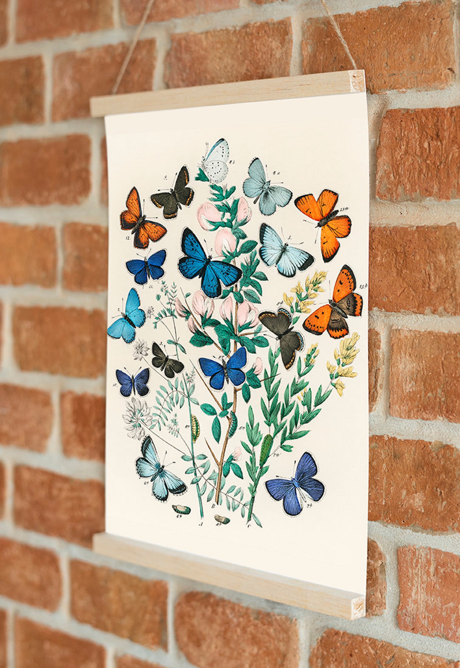 Vintage Butterfly Wall Art Butterfly Art Prints Butterfly Etsy