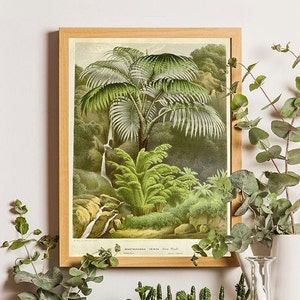 Palm tree art print, Antique Botanical, Vintage palm tree, Victorian art, Jungle Poster, Vintage print, Botanical print, Tropical print