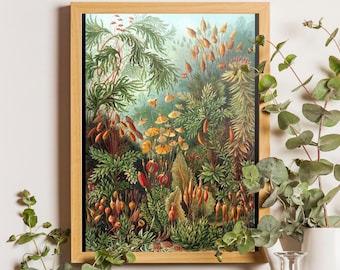 May include: A framed botanical print featuring a dense forest floor scene with various mosses, ferns, and small orange and yellow fungi. The illustration displays intricate textures and earthy green, brown, and golden tones throughout the composition.