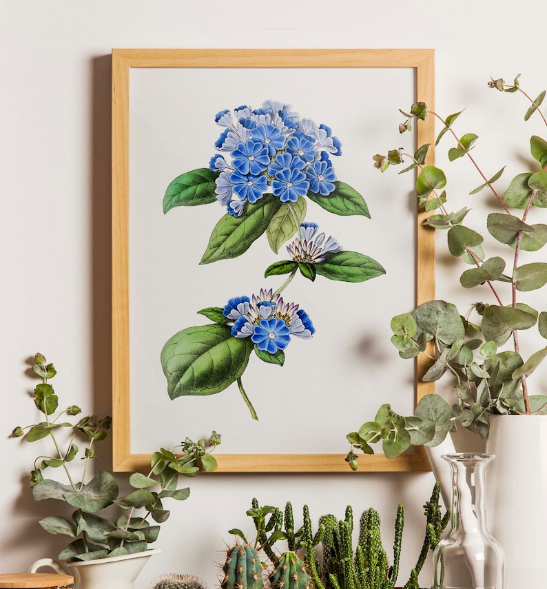 Blue Botanical Set of 6, Vintage Floral Watercolors, Blue Decor, Blue Flower Prints, Flower Wall Art, Botanical Print Set, Wildflowers Print image 8