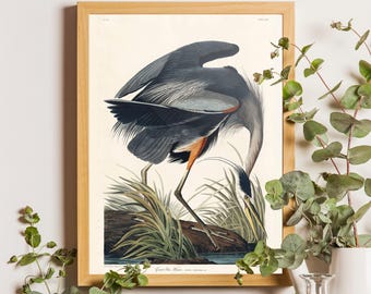 Blue Heron Print, Audubon Bird Illustration, Vintage Nautical Wall Art