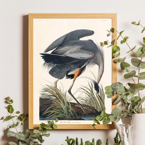 Blue Heron Print, Audubon Bird Illustration, Vintage Nautical Wall Art