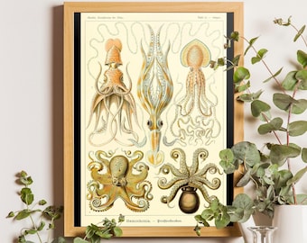 May include: A framed vintage-style scientific print featuring detailed illustrations of various cephalopods, including squids and octopuses, in shades of yellow, brown, and cream, with the text Gamochonia. - Tintenfische.