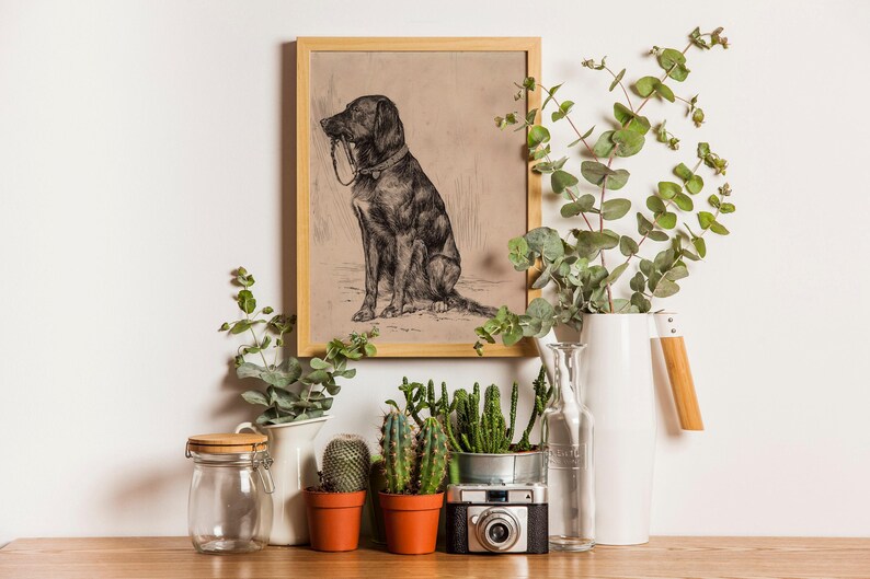 Black Labrador art print featuring a vintage dog painting in an antique animal portrait style. This farmhouse painting and detailed dog sketch makes a perfect dog lovers gift. High-quality dog print, SHIPPED ready to frame.