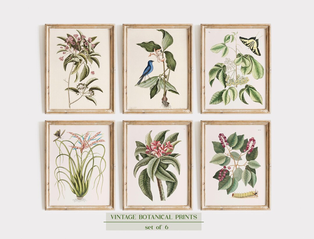 Vintage Botanical Prints SET: Rustic Farmhouse Gallery Wall Art - Etsy