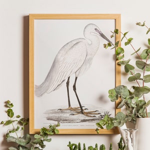 Heron Print, White Bird Poster, Bird Prints, Giclee, Art Print, Coastal Art, Wall Art, Coastal Decor, Seabird Print Set, Nautical Art