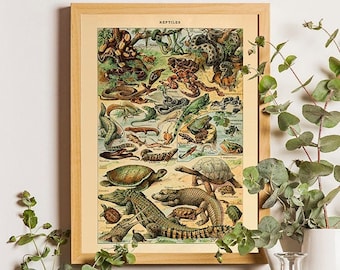Reptiles Print, Adolphe Millot Reptile Print, Larousse Reptiles Poster, Reptiles Collection, Gift idea men, Vintage botanical print