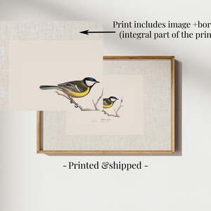 Antique bird prints set of 6, featuring vintage botanical illustrations perfect for a gallery wall. Farmhouse wall art style, ideal canvas art for living room wall decor. Printed and shipped.