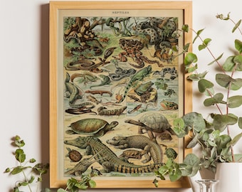 Adolphe Millot Reptiles Print, Vintage Larousse Botanical Poster