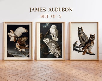 Audubon Owls Print Set, Set of 3, Art Prints, Bird Prints, Collage, Audubon Owl, Audubon Bird Prints, Farmhouse Art, Owl Prints, Audubon art