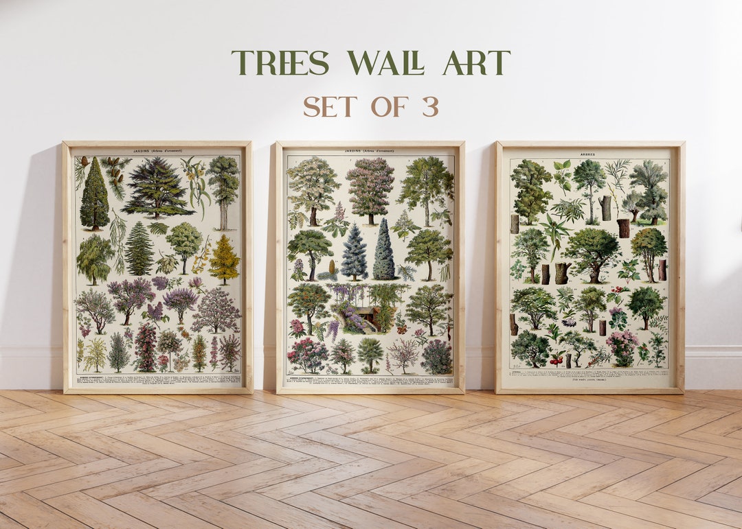 Forest Wall Art, Tree Set of 3 Prints, Forest Posters, Forest Prints ...